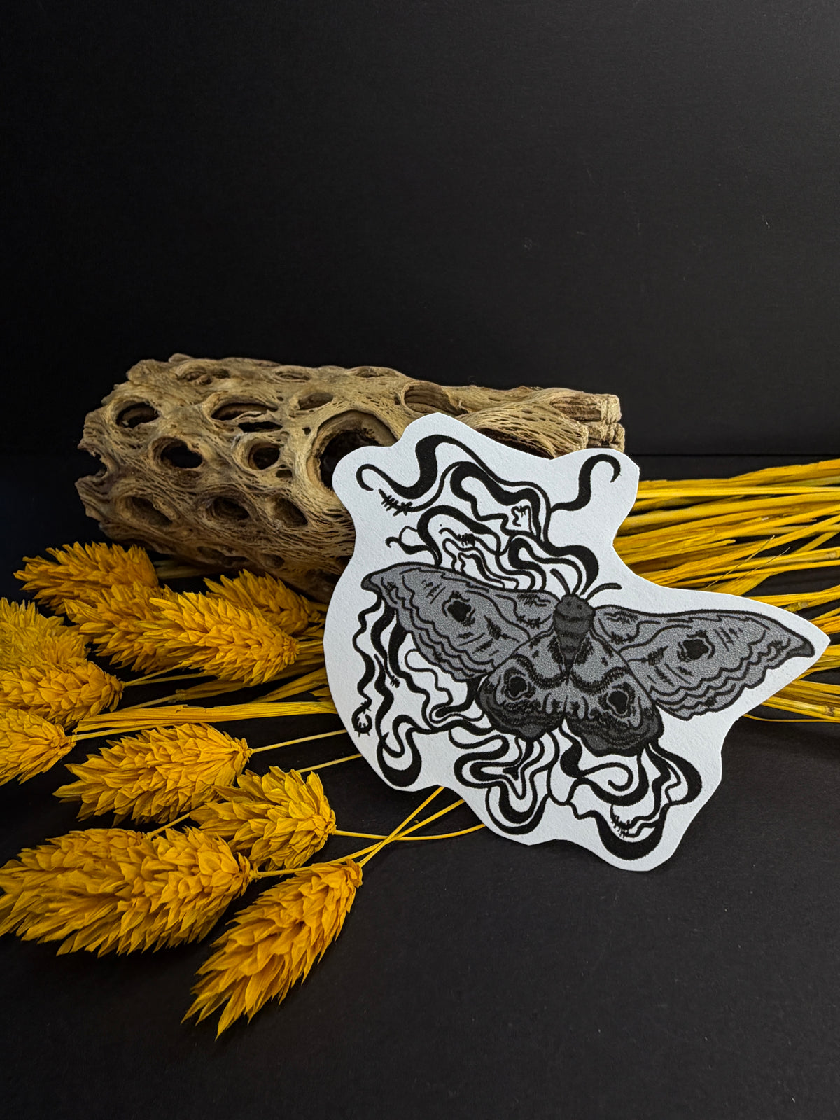 Moth sticker 🖤